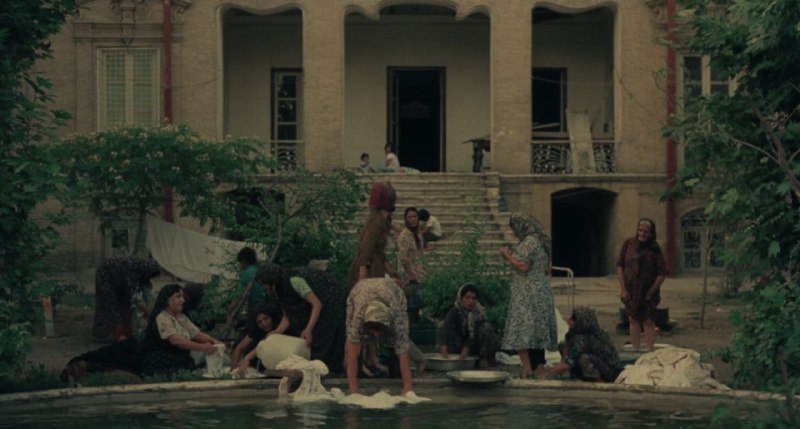 Иллюстрация 7