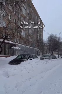 Москвичи обсуждают изменения в географии после циклона