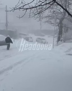 Иллюстрация 1