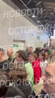 Иллюстрация 1