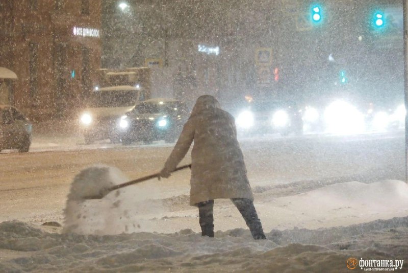 Иллюстрация 1