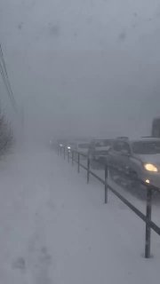 Иллюстрация 7