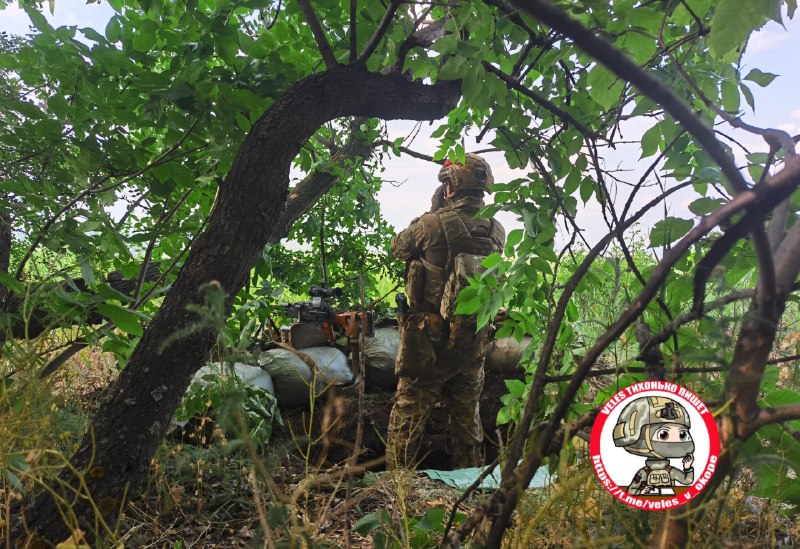 Отчет с передовой: укрепление позиций и подготовка к обороне