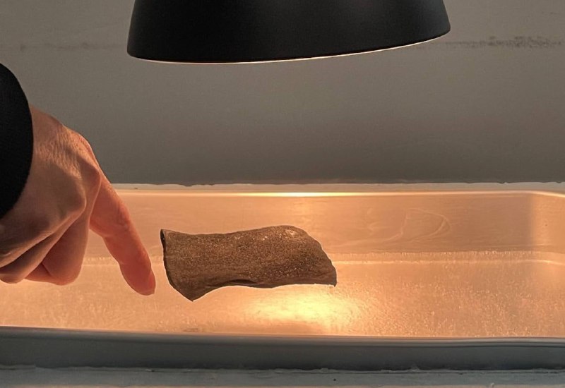 Иллюстрация 3