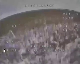 Олень против дрона в зоне СВО и новости о Регнуме