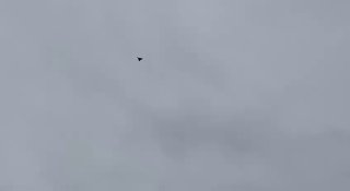 Мнение боевого офицера ВДВ о войне