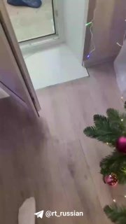 Иллюстрация 2