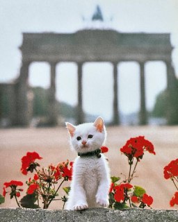 Иллюстрация 4