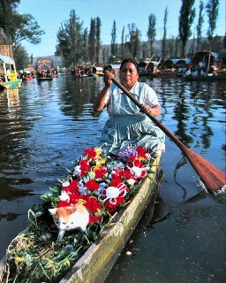 Иллюстрация 6