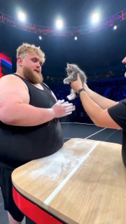 Нейрокотик победил в турнире по пощёчинам