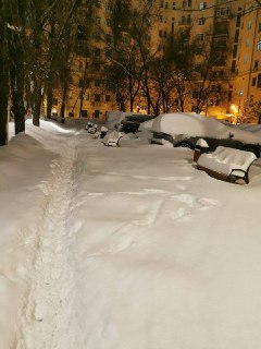 Иллюстрация 3