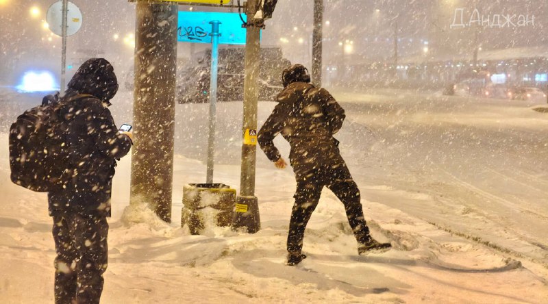 Иллюстрация 7