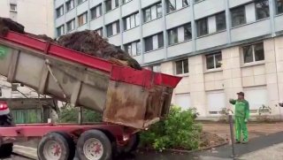 Иллюстрация 2