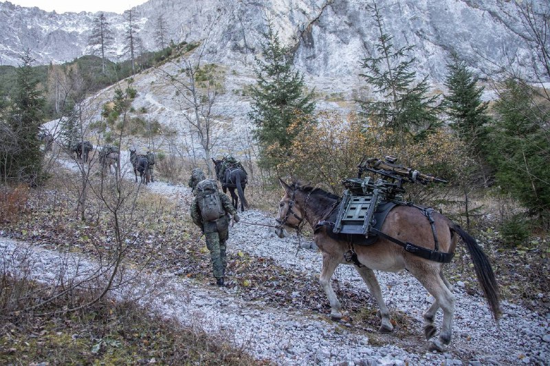 Иллюстрация 1