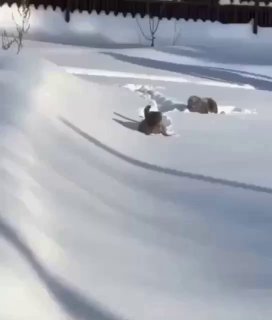 Утренние трудности и коммунальные вопросы