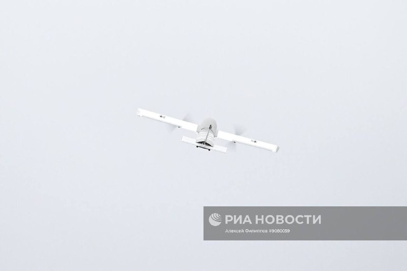 Иллюстрация 1