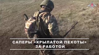 Разминирование маршрутов в Запорожской области