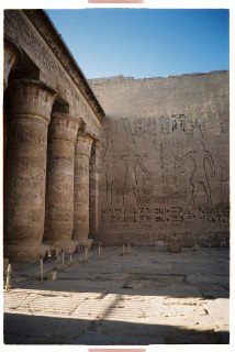 Иллюстрация 5