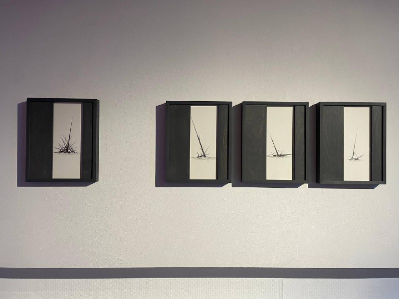 Иллюстрация 2