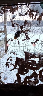 Ситуация на Брянском направлении: российские военные сдерживают атаки ВСУ