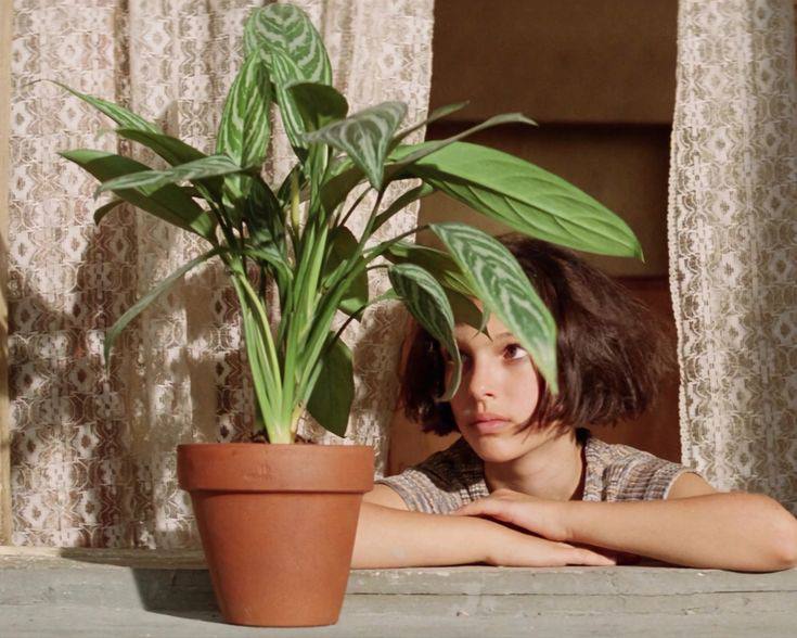 Автор блога о кино поделилась впечатлениями от просмотра фильма «Леон»