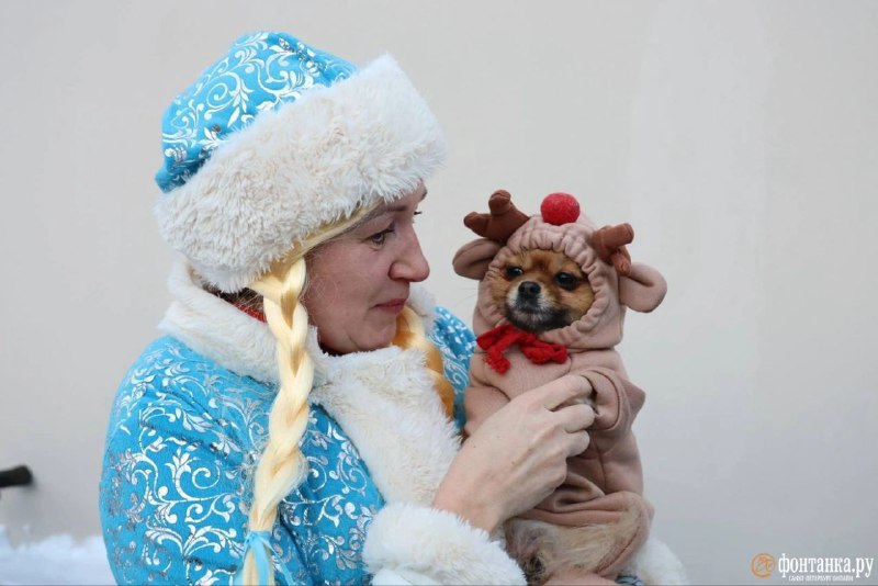 Иллюстрация 7