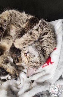 Иллюстрация 5