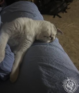 Иллюстрация 8