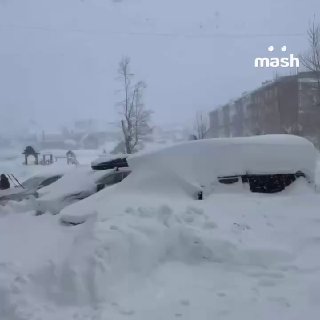Рекордный снегопад обрушился на Москву и область