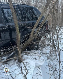 Иллюстрация 3