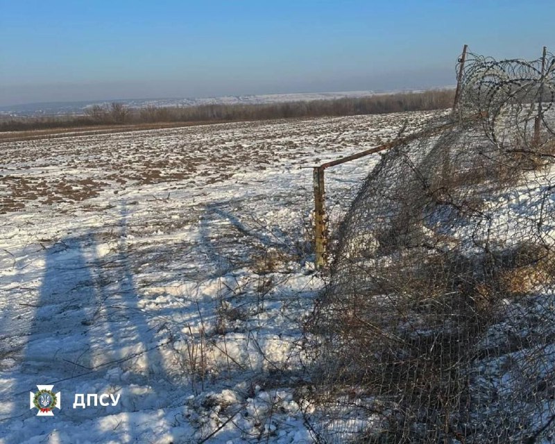 Иллюстрация 4