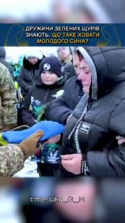 Иллюстрация 2