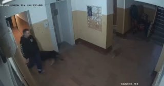 В Отрадном избили щенка