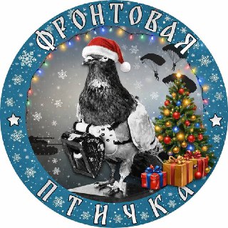 Офицер ВДВ рассказал о реальном положении дел на фронте