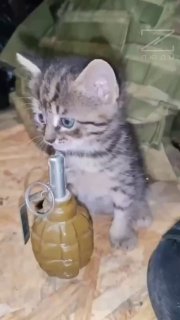 В канале «Люди Z» сообщили об уничтожении танка «Леопард»