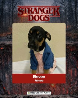 Иллюстрация 3