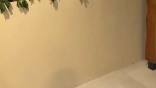 Иллюстрация 8