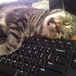 Каждый третий россиянин создает видимость занятости в начале января