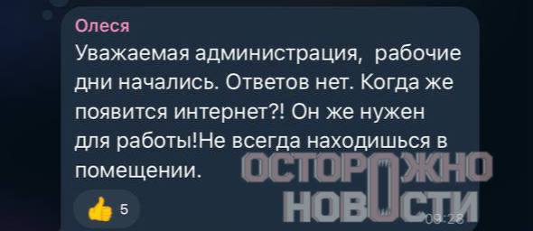 Иллюстрация 1