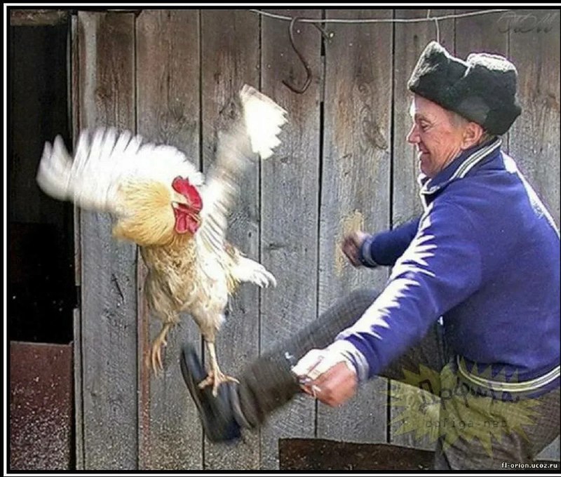 Ларису Долину выселяют из квартиры в Москве