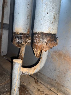 Иллюстрация 2