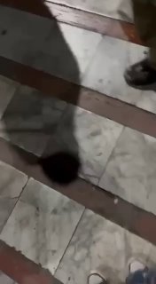 Иллюстрация 5