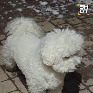 Взрывы в Анапе и Новороссийске: работает ПВО