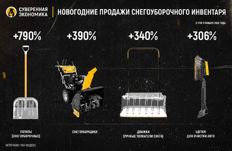 Продажи лопат выросли на 790% из-за снегопадов